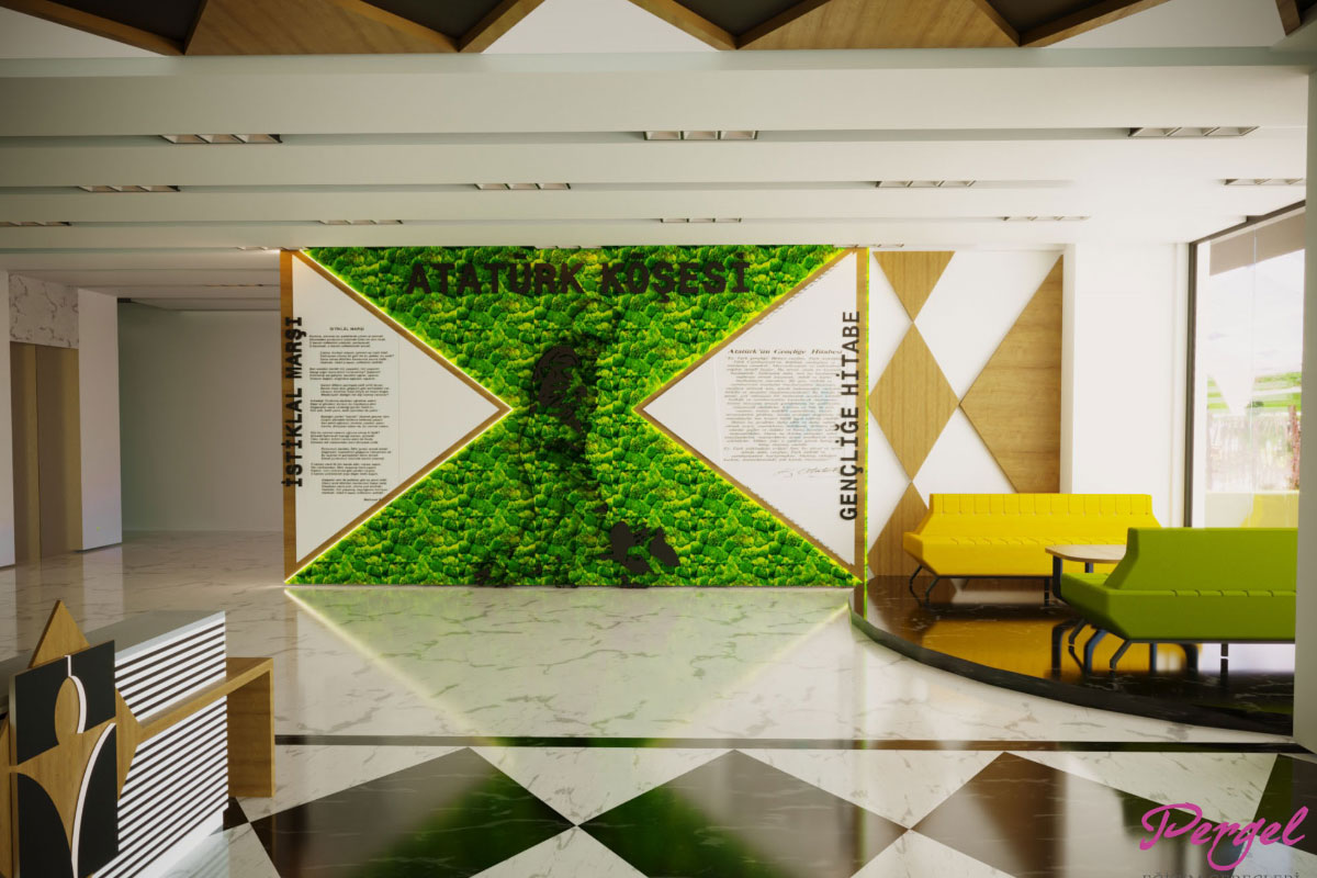 Giriş Alanı Projeleri